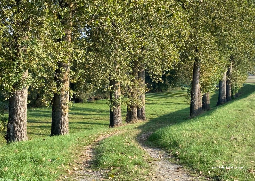 (94577) Winzer - Unnamed Road — foto 3