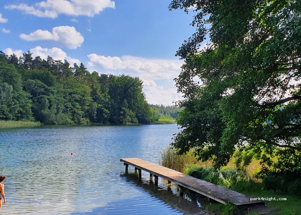 Waldsiedlung am Waschsee — foto