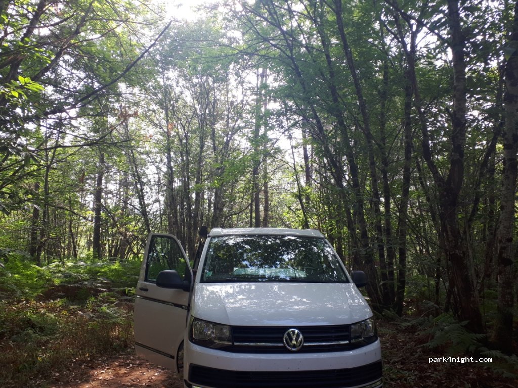 (24250) Nabirat - Unnamed Road — foto 2