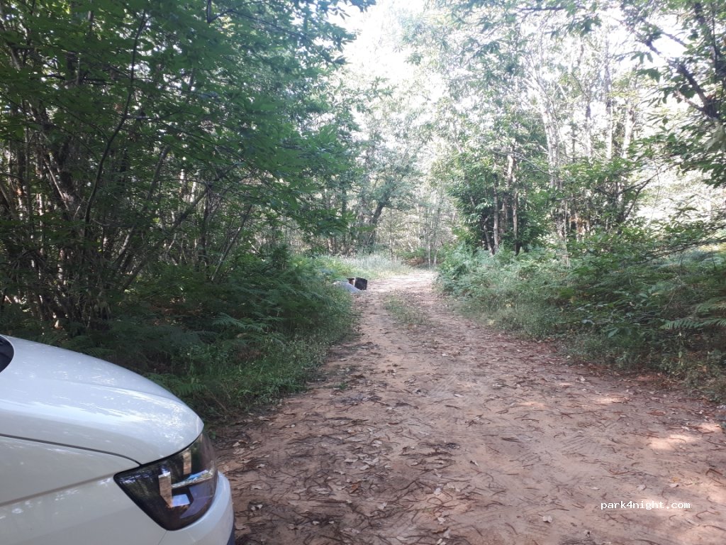 (24250) Nabirat - Unnamed Road — foto 3