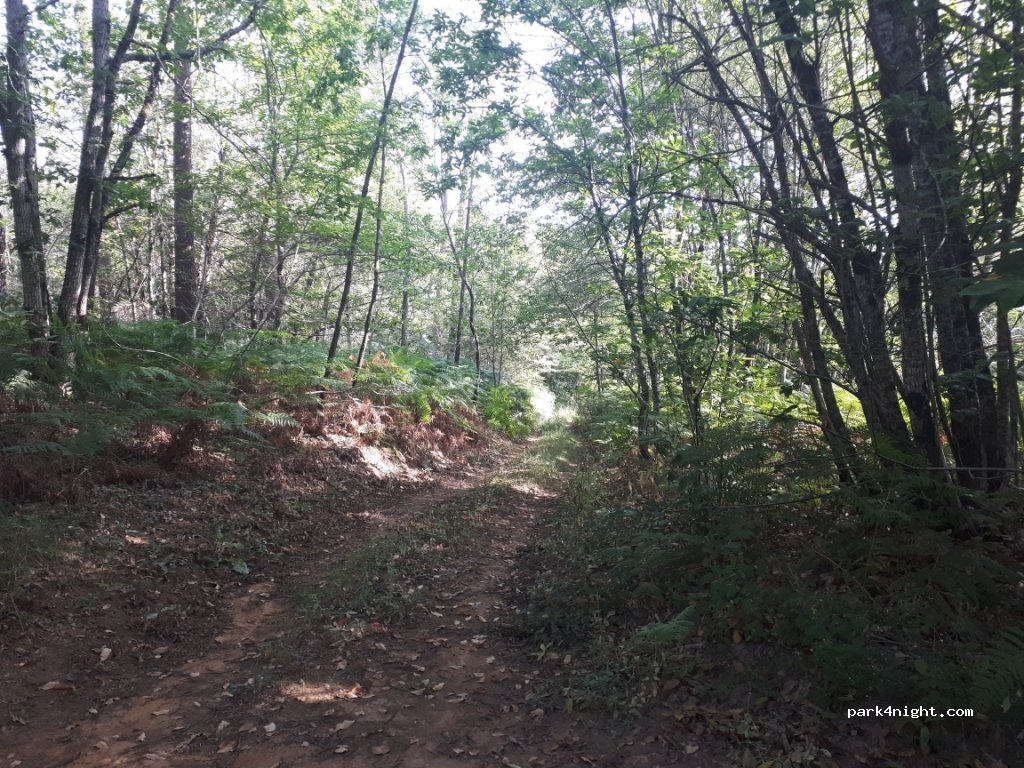 (24250) Nabirat - Unnamed Road — foto 4