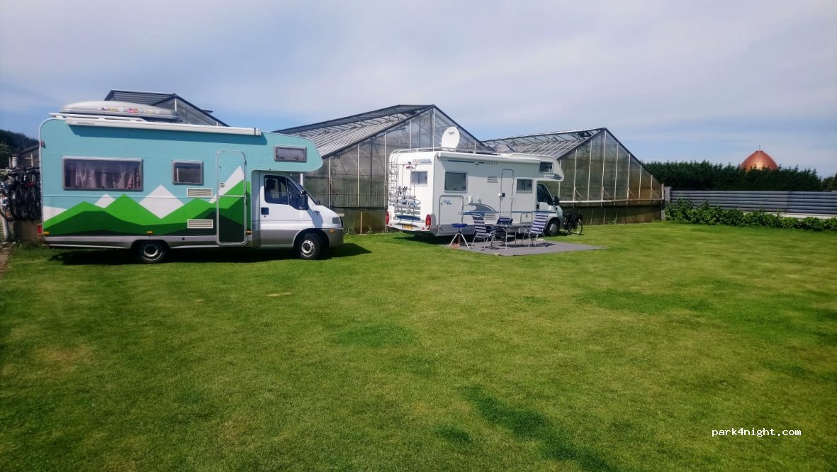 Camping Amsterdam aan zee — foto