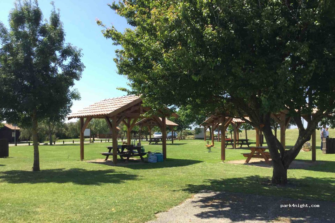 (33590) Jau-Dignac-et-Loirac - 519 La Matte Commune — foto