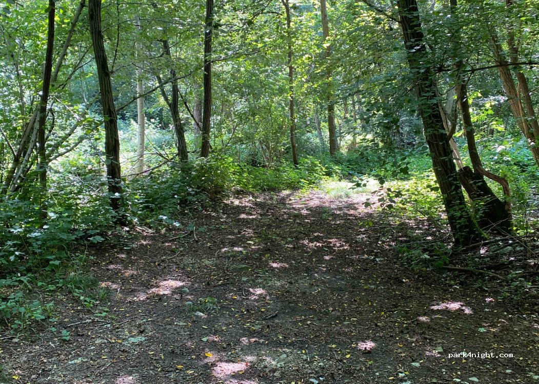 (31034) Bocca di Serra - 1 Via Lerina — foto