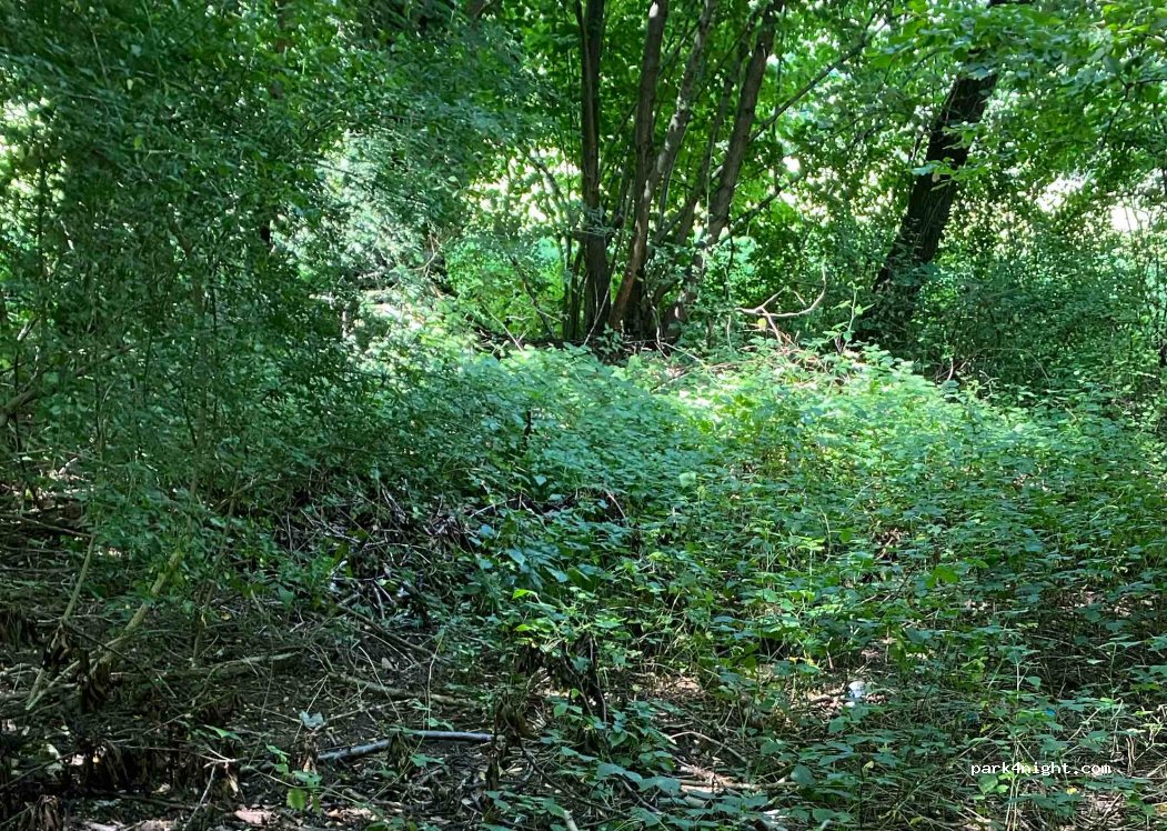 (31034) Bocca di Serra - 1 Via Lerina — foto 2