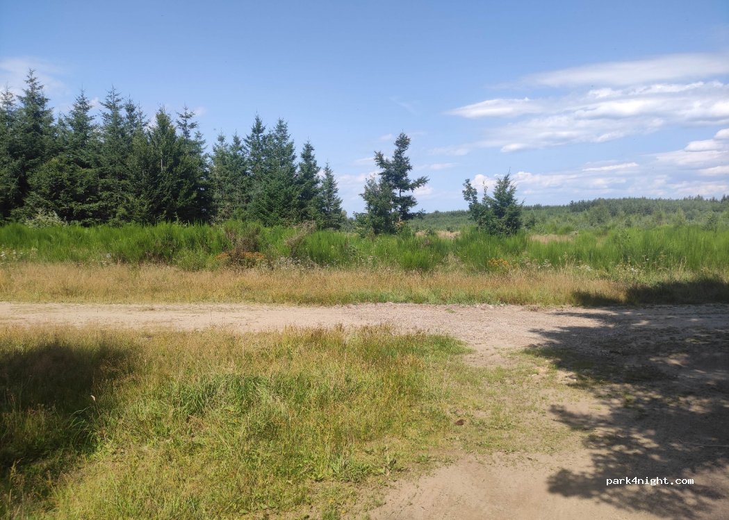 (48130) Peyre en Aubrac - — foto