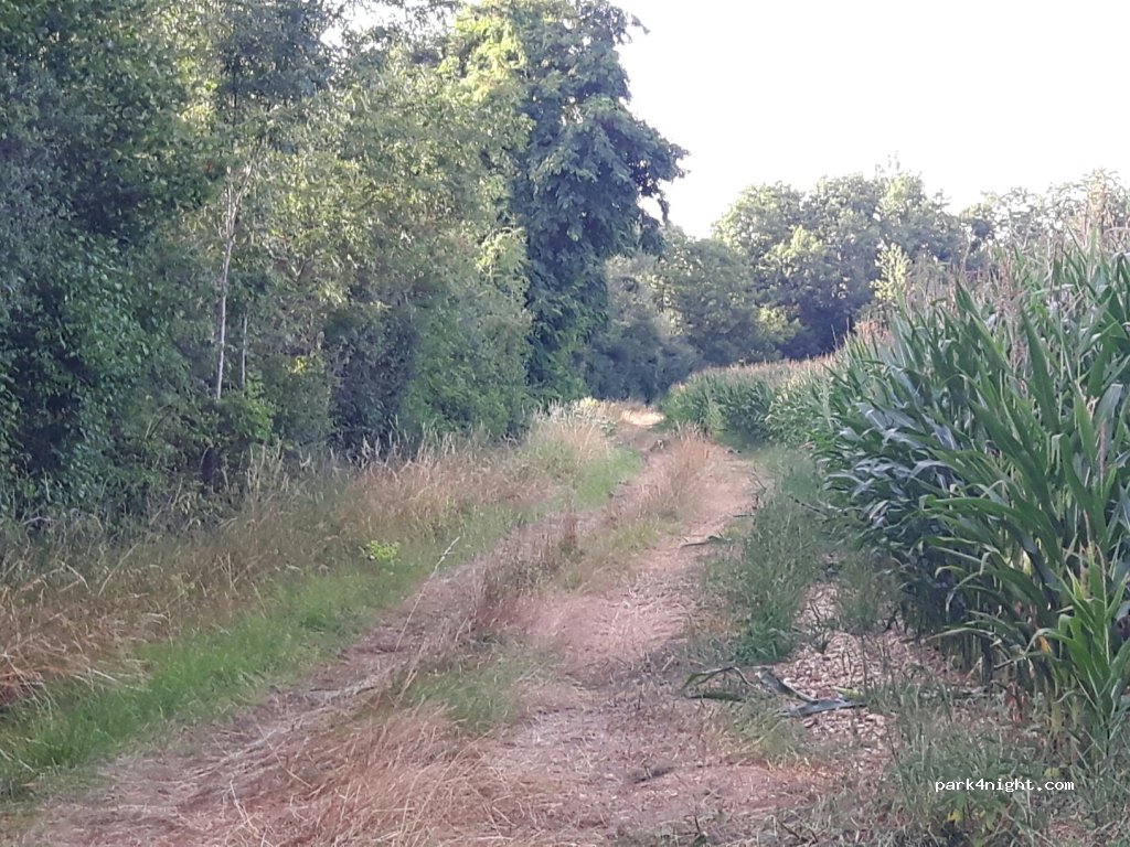 (51290) Hauteville - Les Basses Quemines — foto