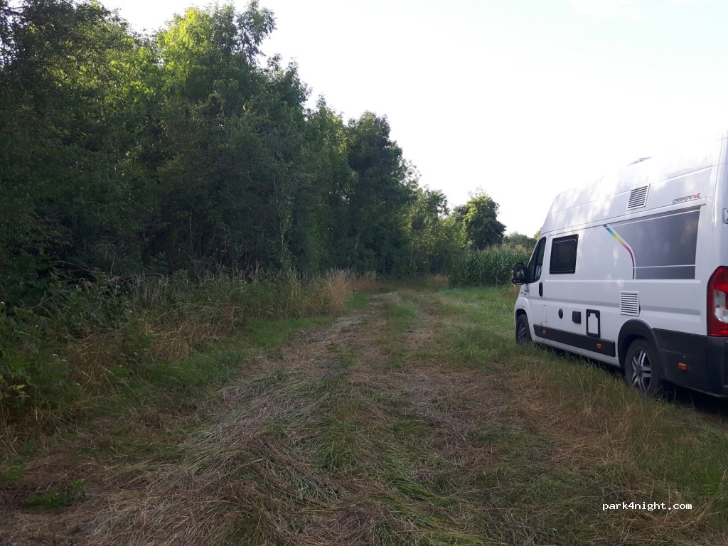 (51290) Hauteville - Les Basses Quemines — foto 2