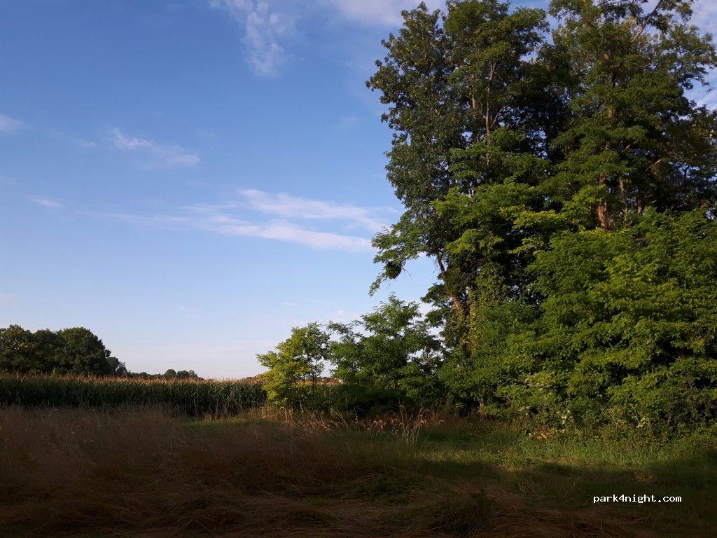 (51290) Hauteville - Les Basses Quemines — foto 3