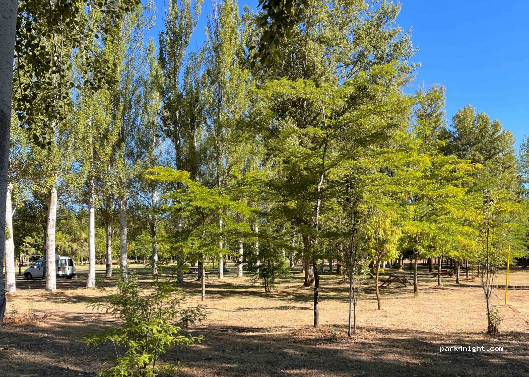 (49690) San Cristóbal de Entreviñas - Unnamed Road — foto 3