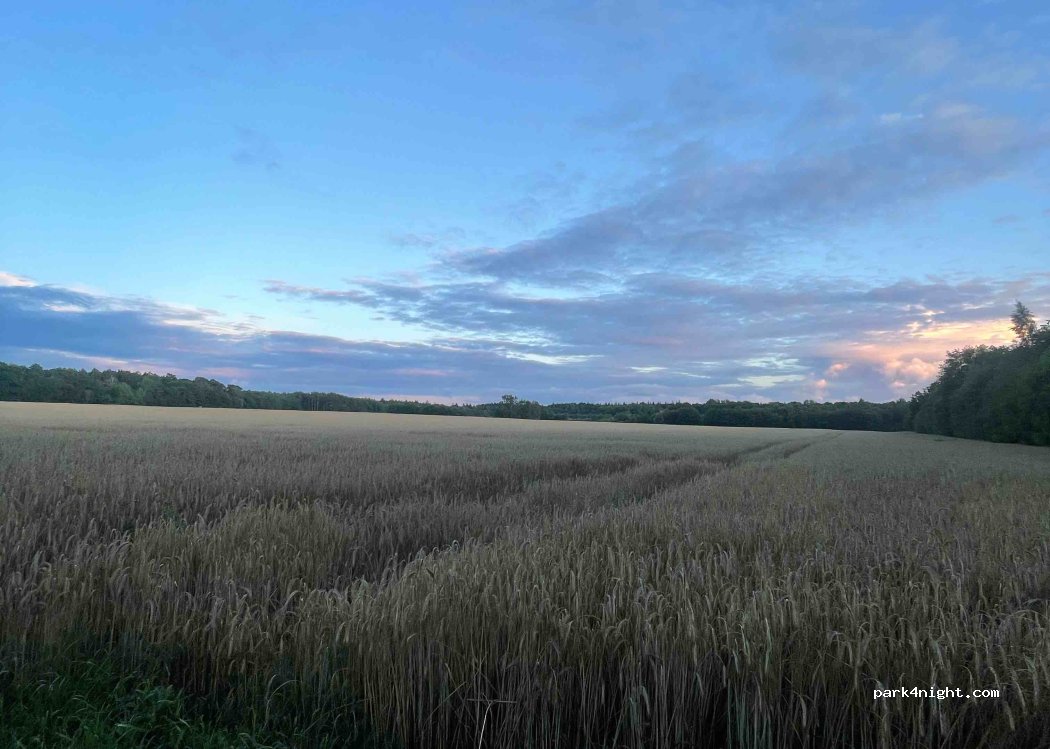 (18569) Gingst - Unnamed Road — foto 4
