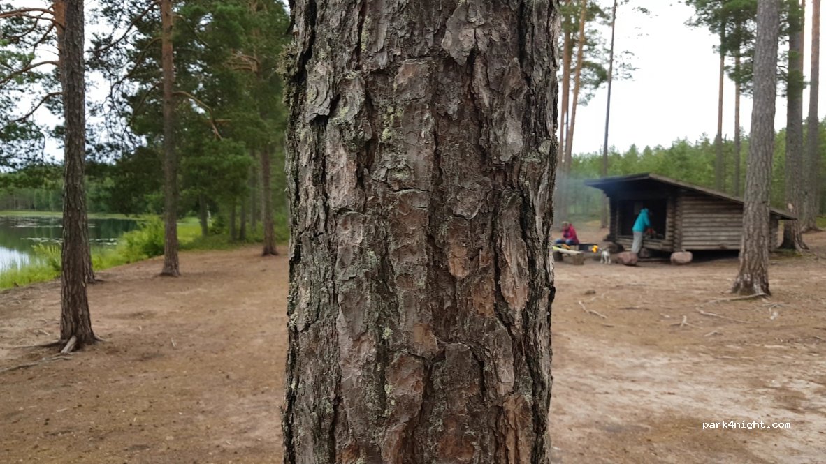 (32810) Kokemäki - Huovintie — foto 3