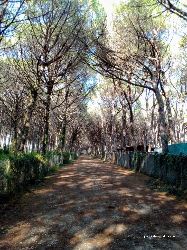 (57016) Mazzanta - 8 Via Monte Falterona — foto
