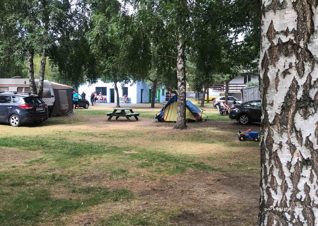 Młody Delfin | Pole namiotowe i pokoje gościnne — foto