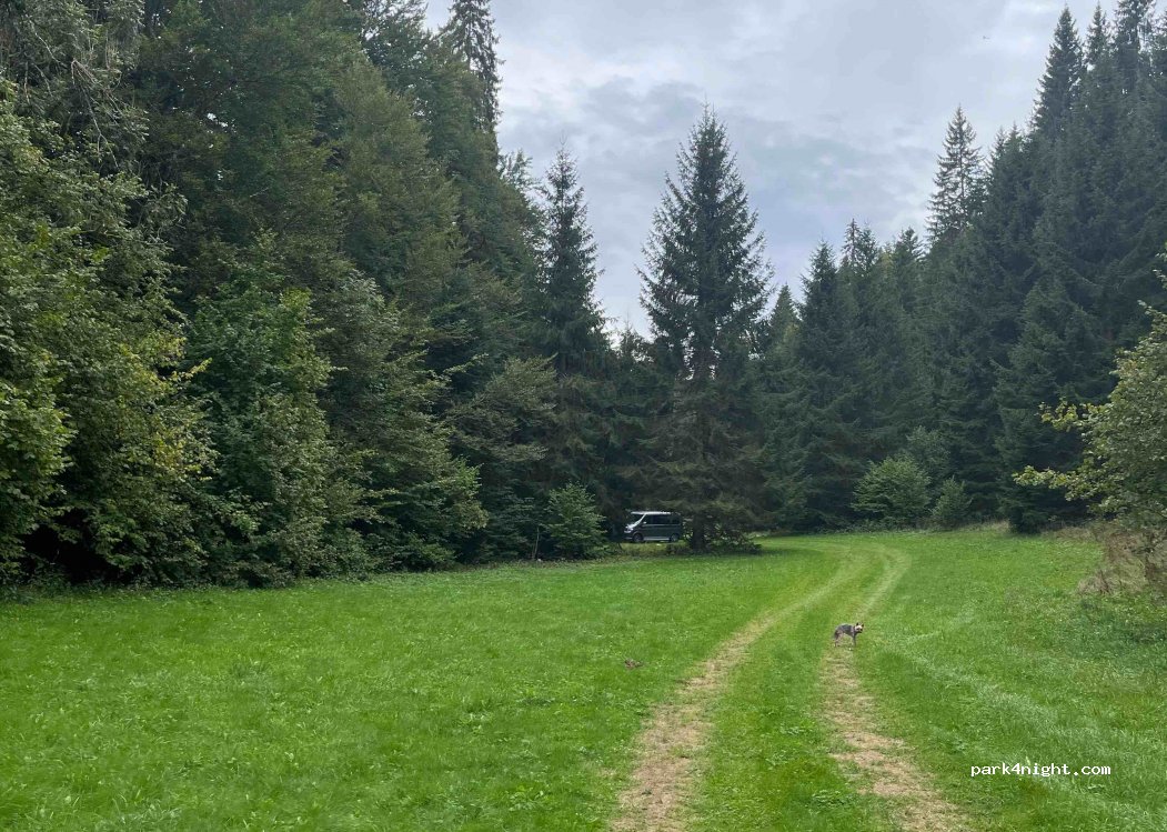 (01130) Charix - 18 Route du Lac Genin — foto 3