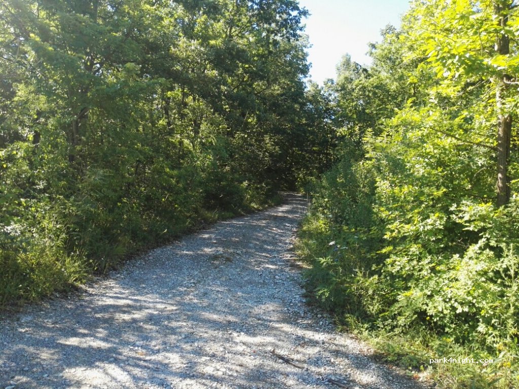 (29010) Vernasca - Strada Provinciale 21 — foto