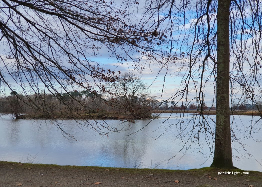 (40290) Estibeaux - 1910 Route du Lac de Tastoa — foto 3