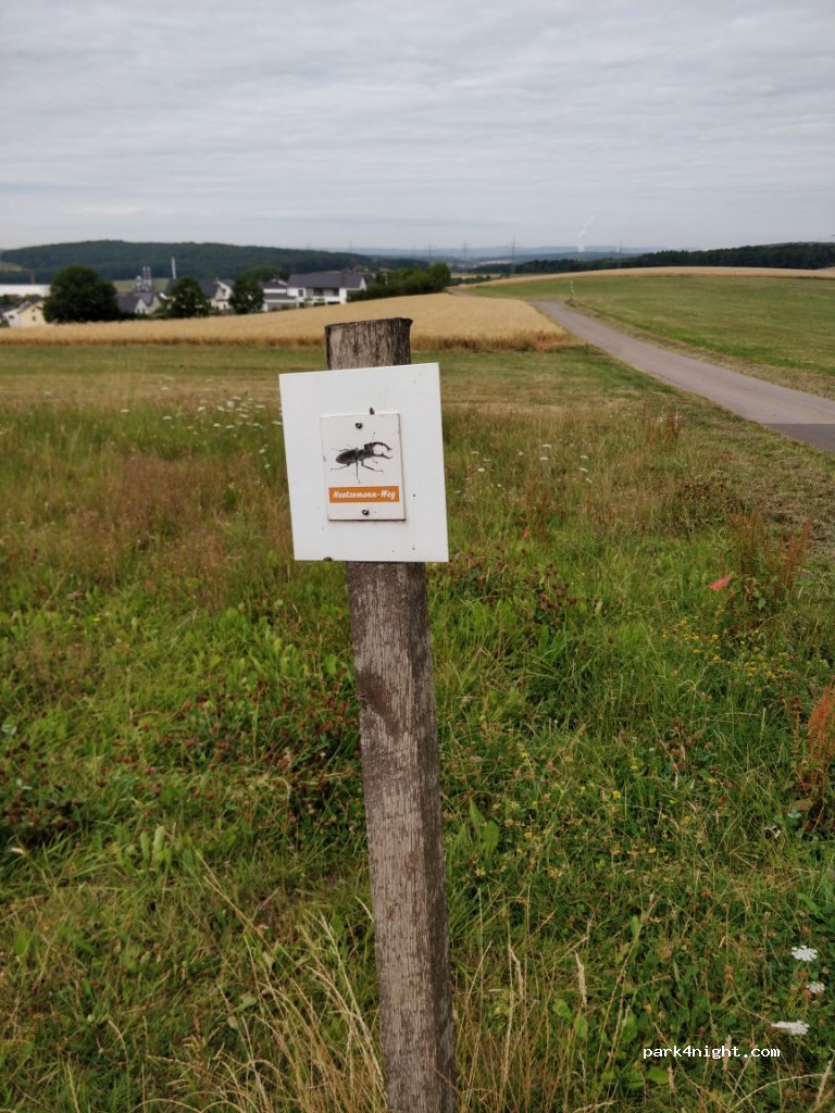 (66265) Heusweiler - 135 Großwaldstraße — foto 2