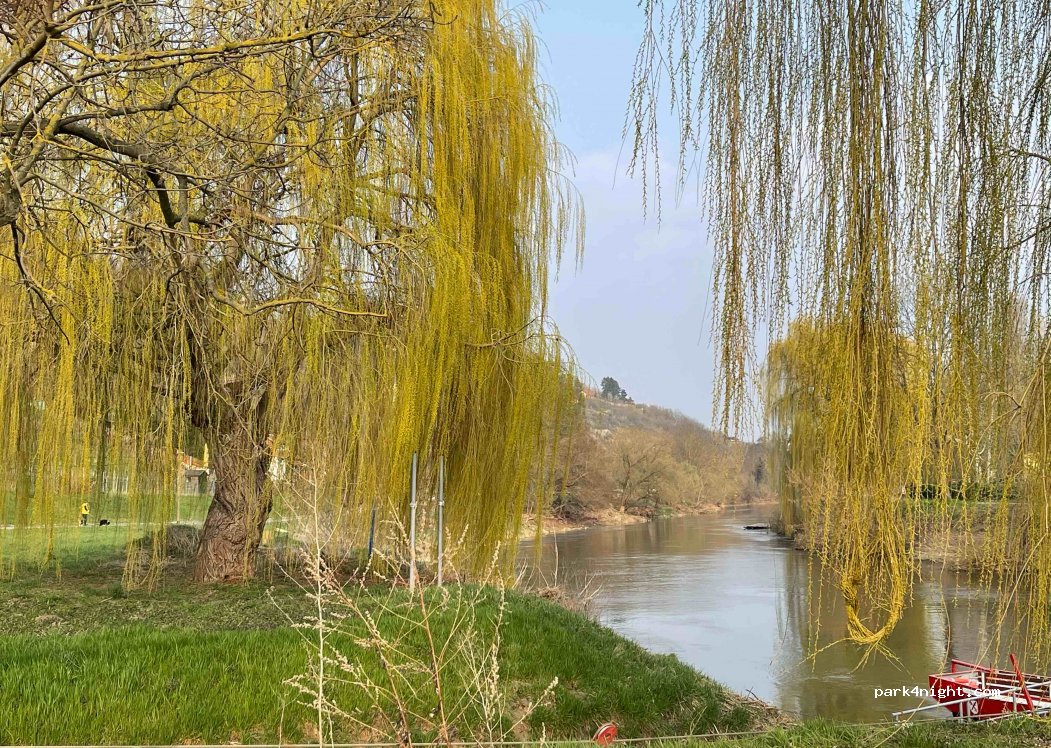 (06618) Naumburg (Saale) - 18 Blütengrund — foto