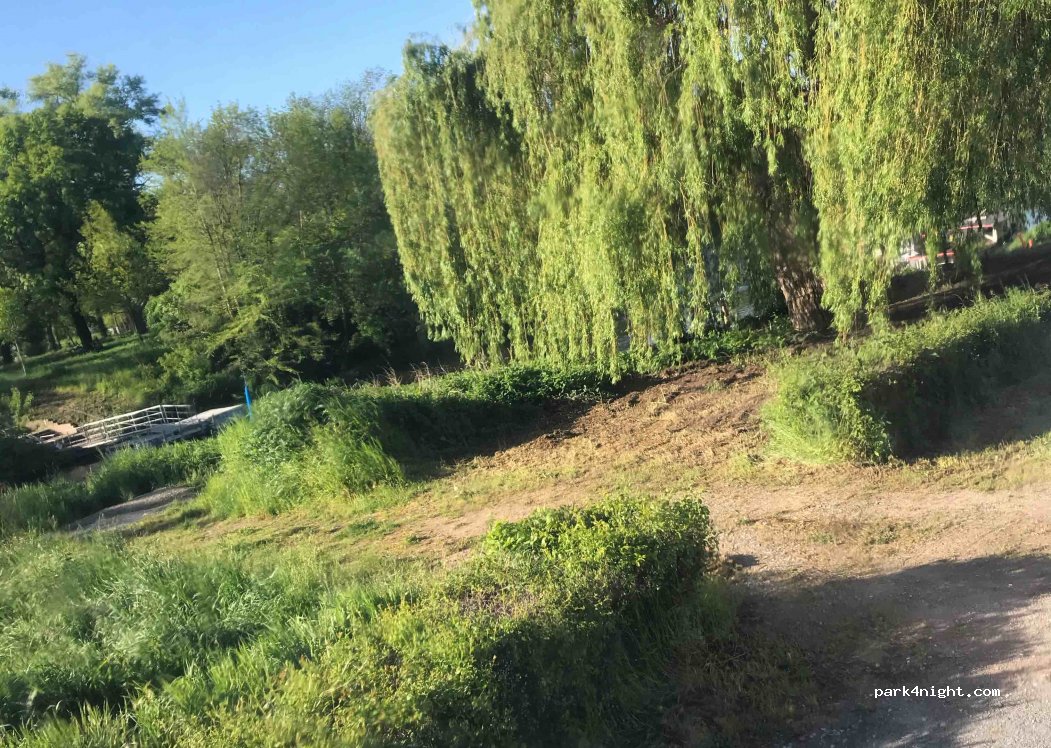(06618) Naumburg (Saale) - 18 Blütengrund — foto 2