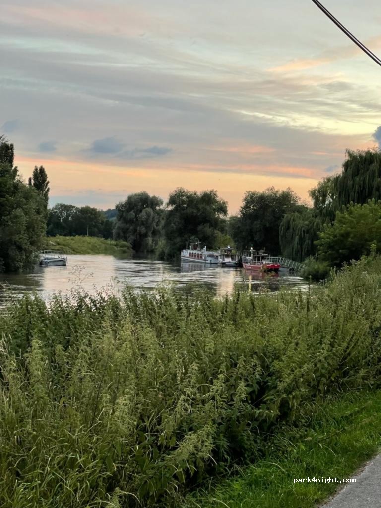 (06618) Naumburg (Saale) - 18 Blütengrund — foto 3