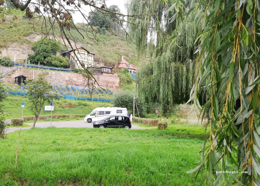 (06618) Naumburg (Saale) - 18 Blütengrund — foto 4