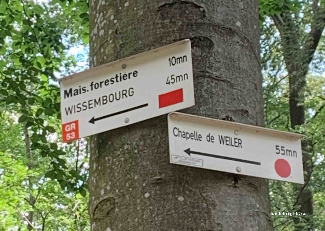(67160) Wissembourg - D3 — foto 2