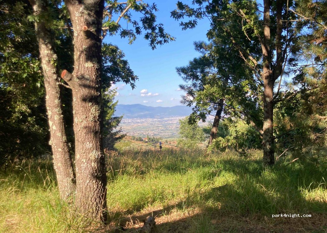 (59015) Verghereto - 16 Via Montalbano — foto 2