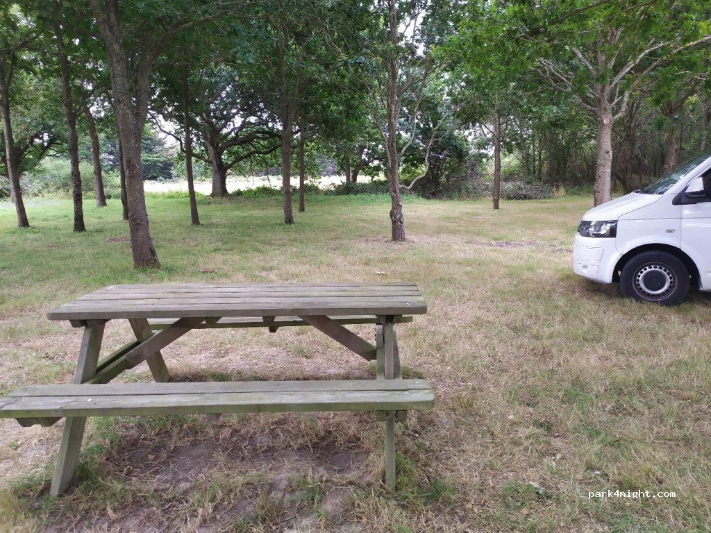 (44770) La Plaine-sur-Mer - Chemin de la Guerche — foto 2