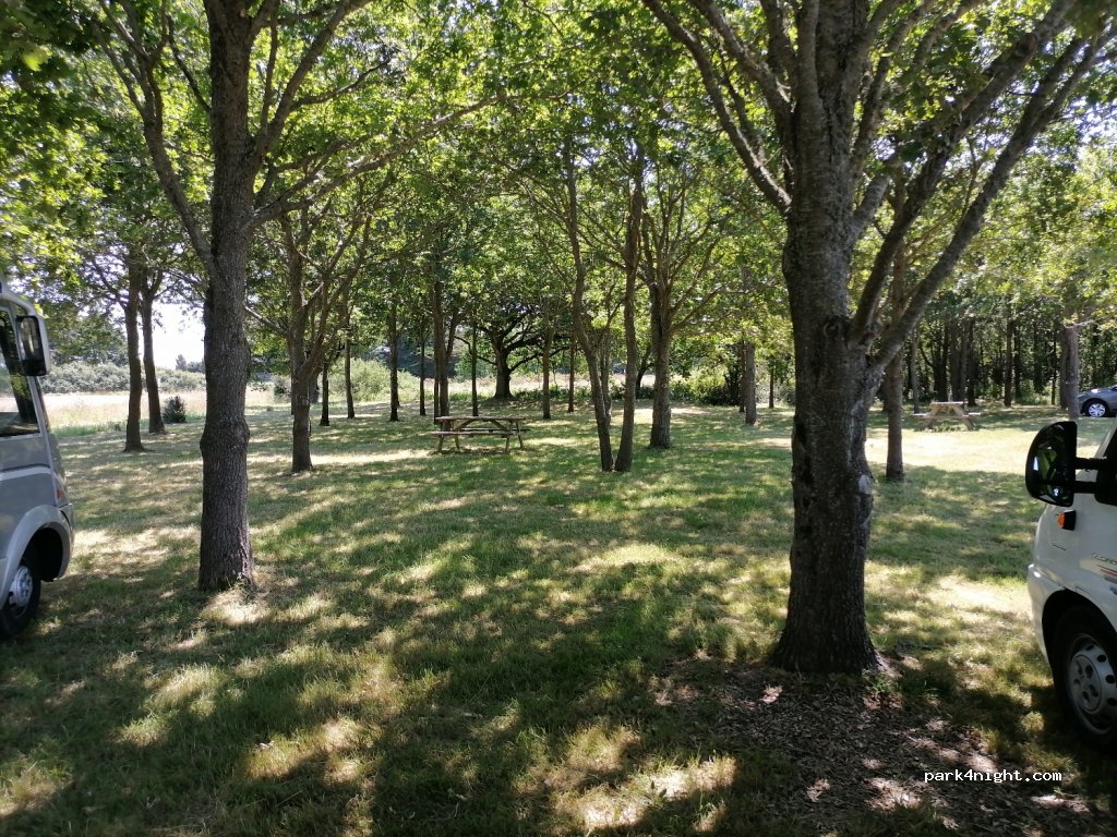 (44770) La Plaine-sur-Mer - Chemin de la Guerche — foto 3