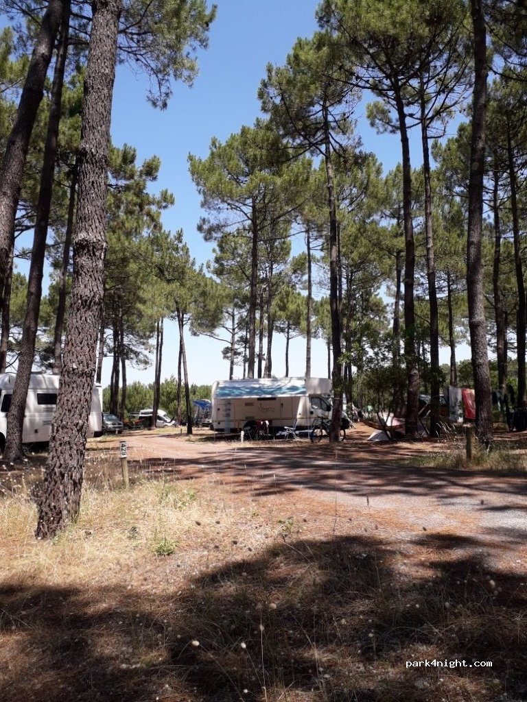 Camping de Carcans — foto
