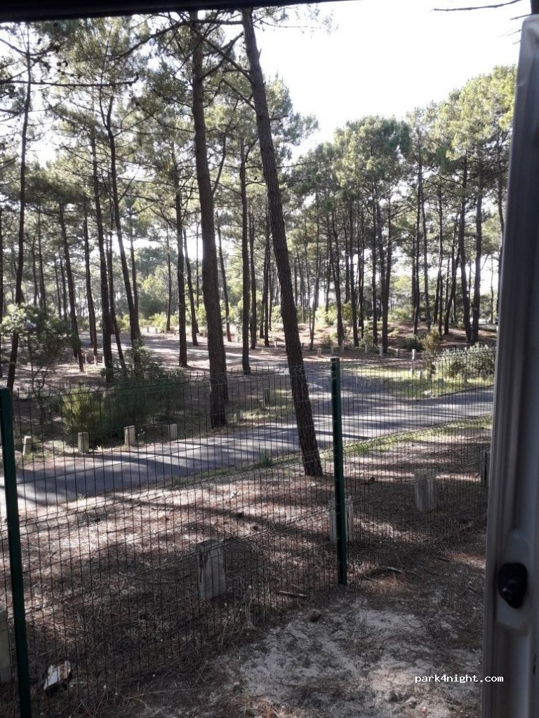 Camping de Carcans — foto 2