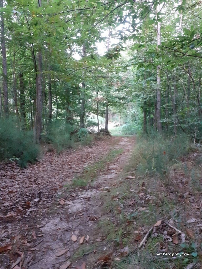(66760) Saint-Laurent-de-Cerdans - Lô Bach de Mont Capeill — foto