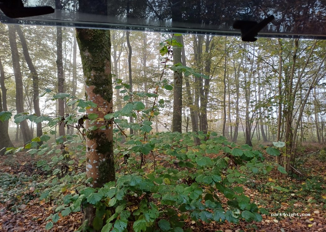 (08500) Les Mazures - D40E — foto 4