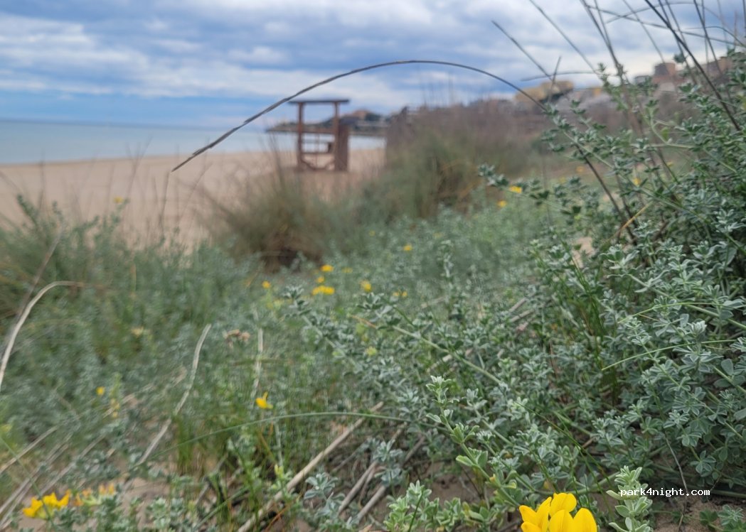 (46408) Cullera - 49 Avinguda del Dossel — foto 3