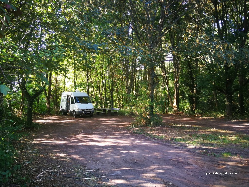 (67487) Maikammer - Kalmithöhenstraße — foto