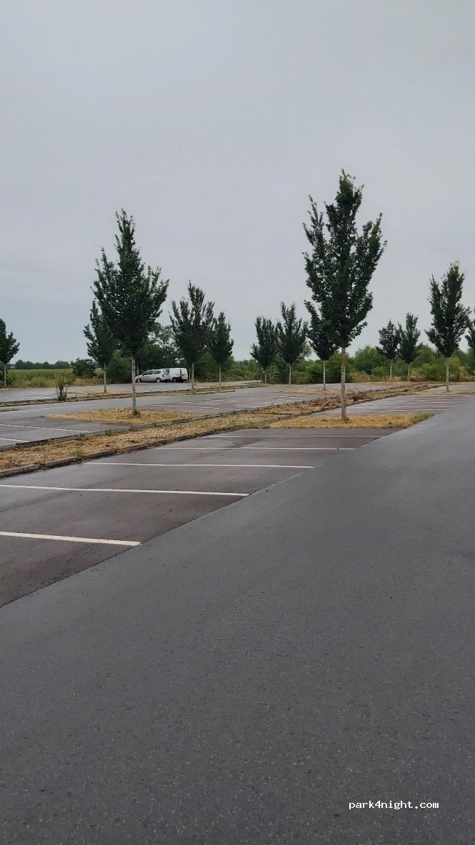 (04509) Delitzsch - Unnamed Road — foto 2
