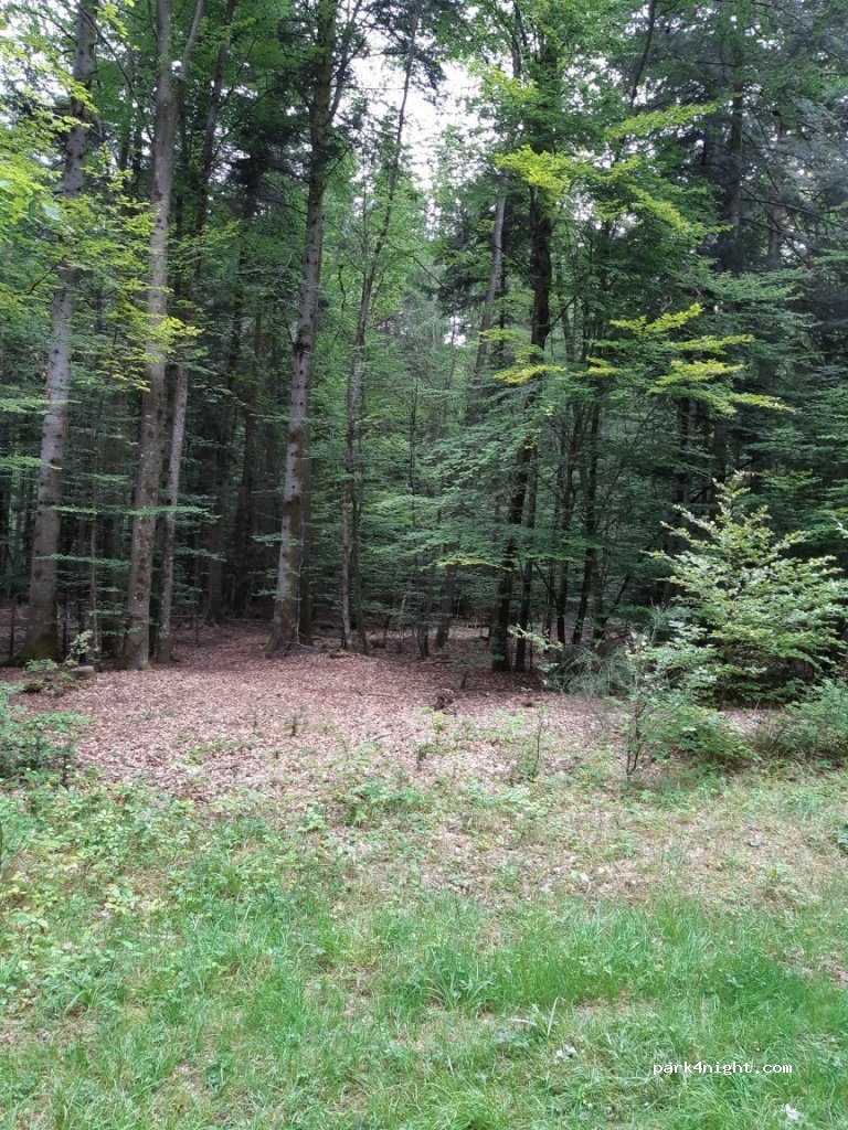 (54540) Pexonne - Unnamed Road — foto