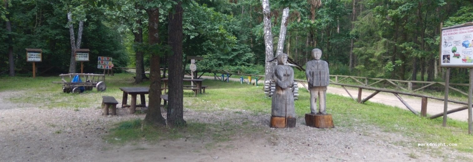 (12-122) Nowy Las - Droga Wojewódzka 545 — foto