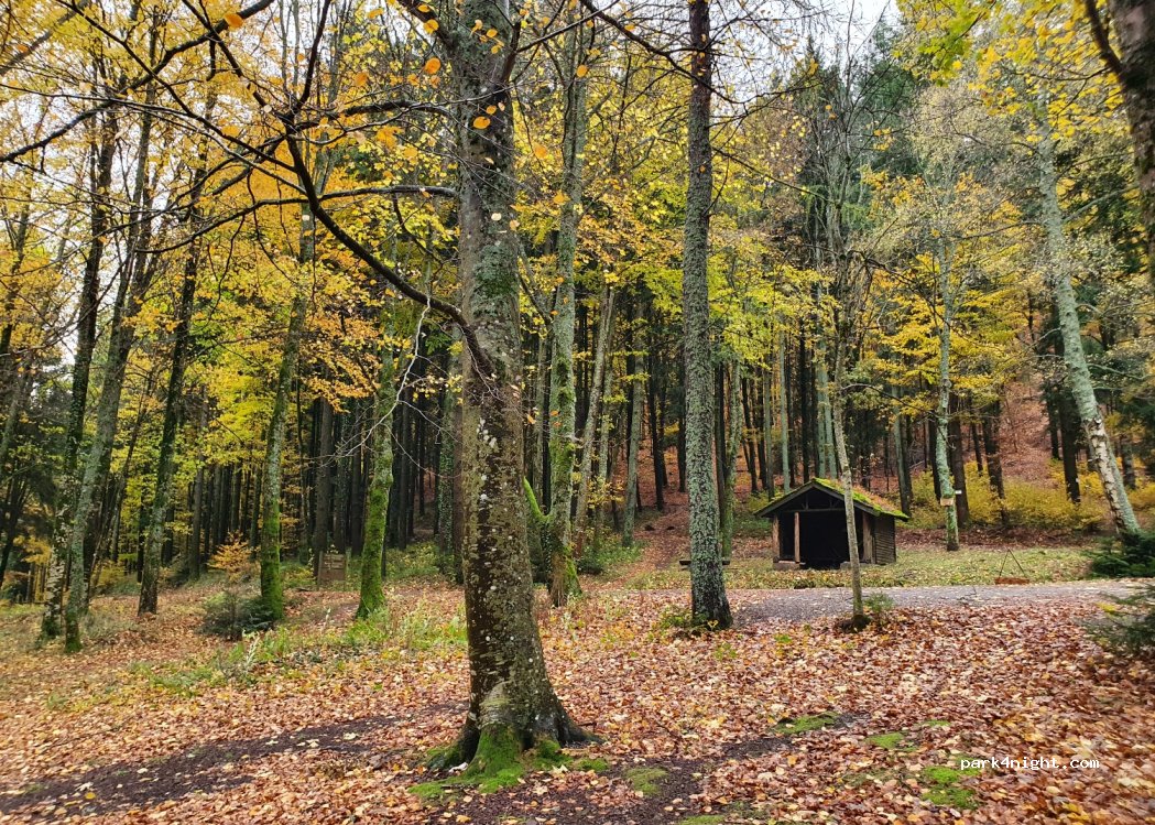 (68800) Bitschwiller-lès-Thann - Route Forestière du Steinby — foto 2