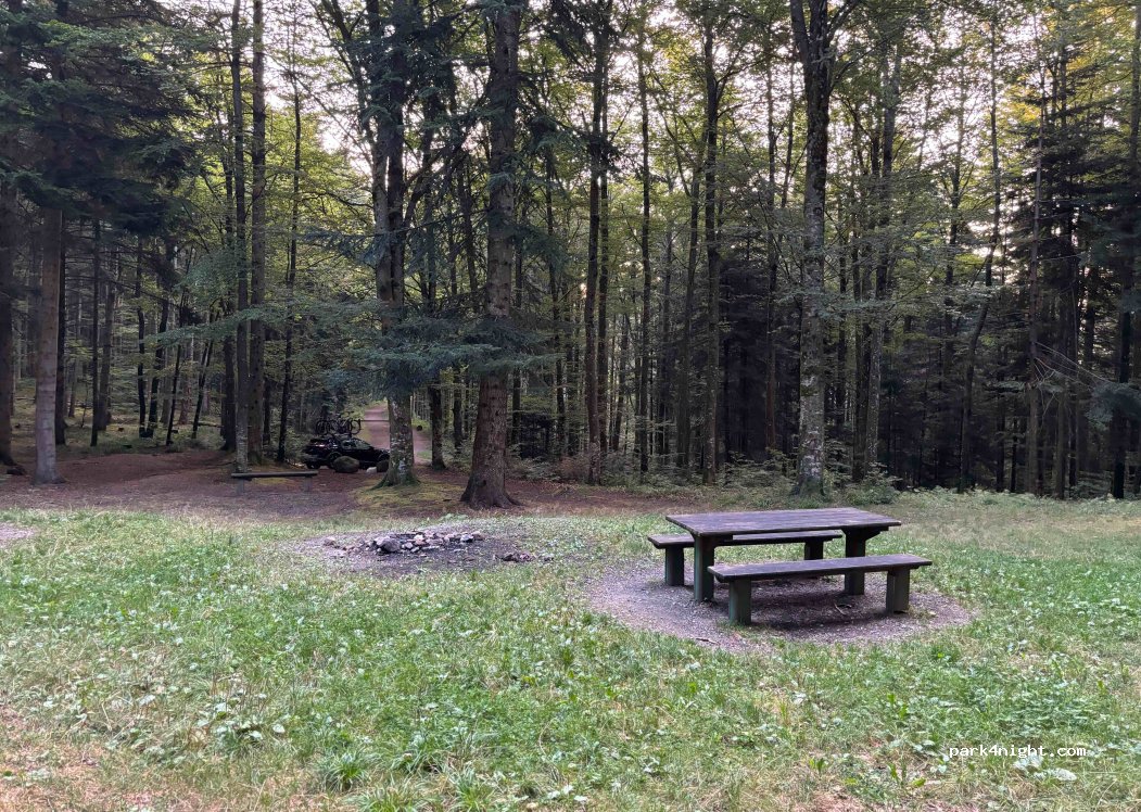 (68800) Bitschwiller-lès-Thann - Route Forestière du Steinby — foto 4