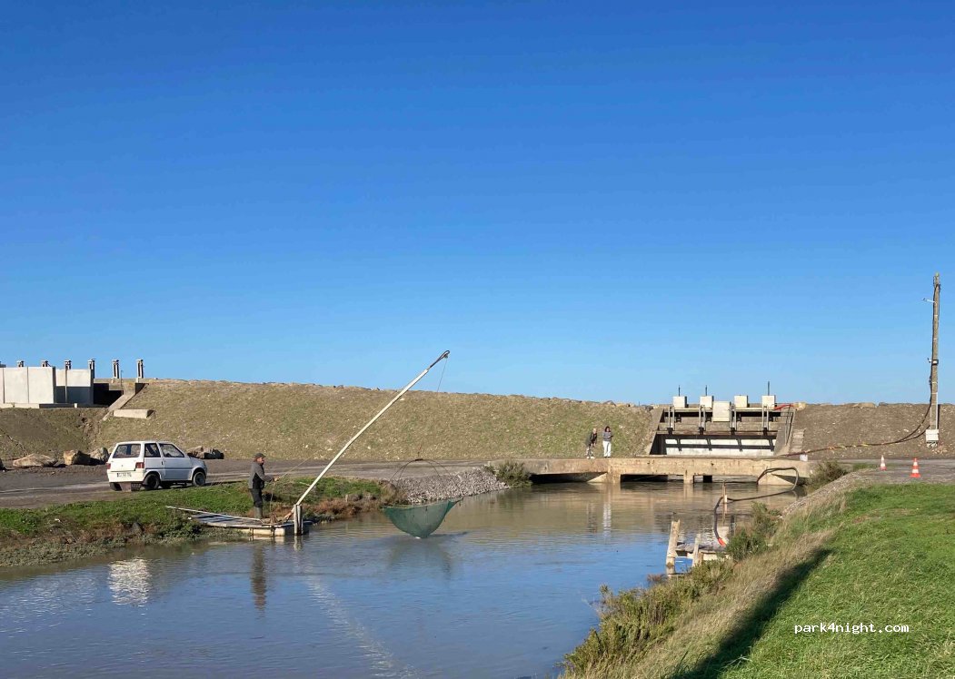 (85230) Bouin - Polder du Daim — foto 3