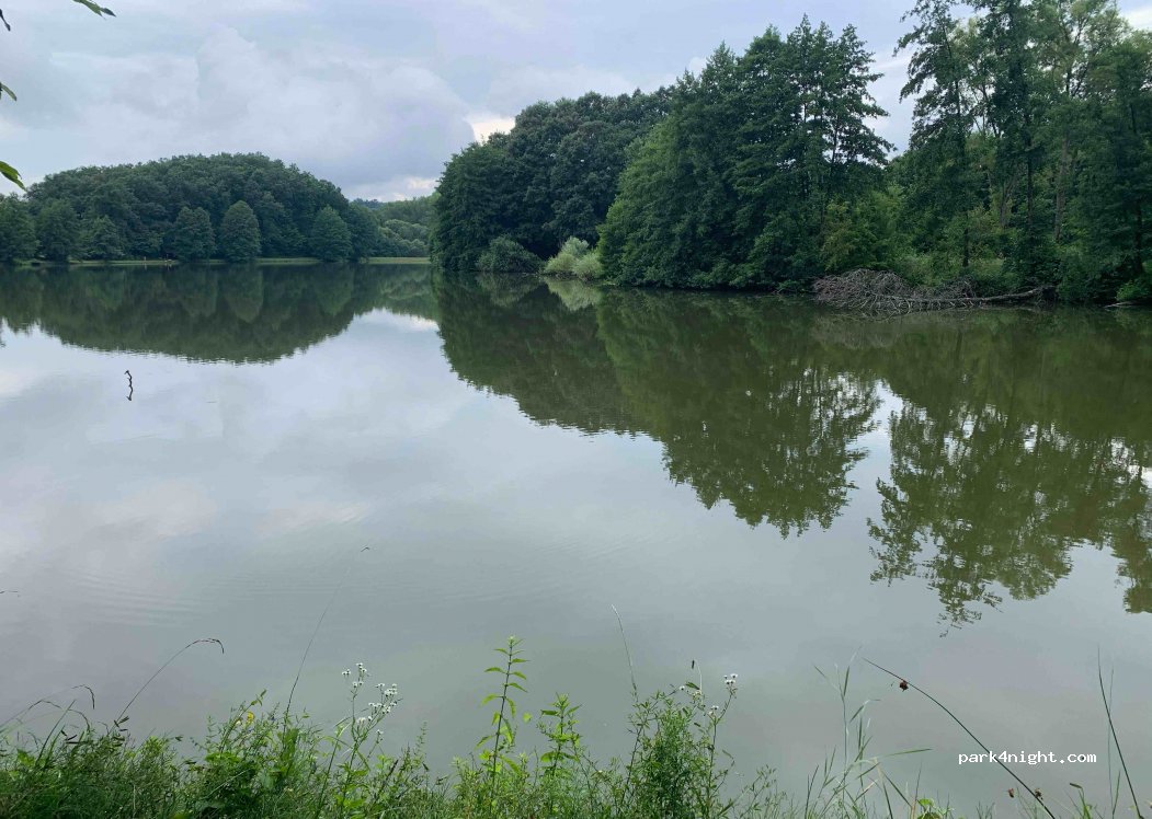 (2629) Márianosztra - Unnamed road — foto 2