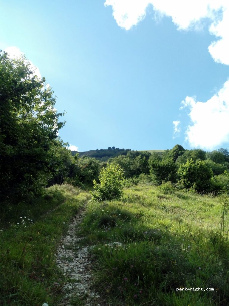 (29026) Ottone - Strada di Bogli — foto