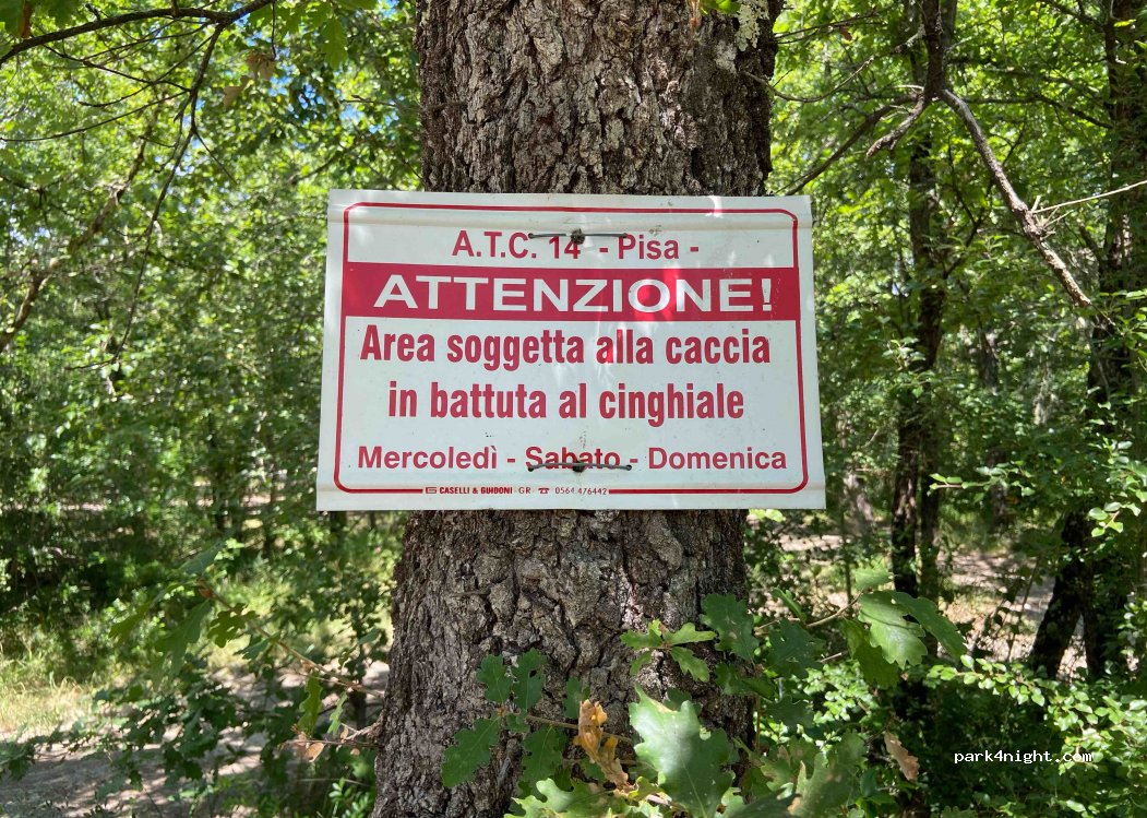 (56034) Garetto Basso - Strada Provinciale del Pian del Pruno — foto 2