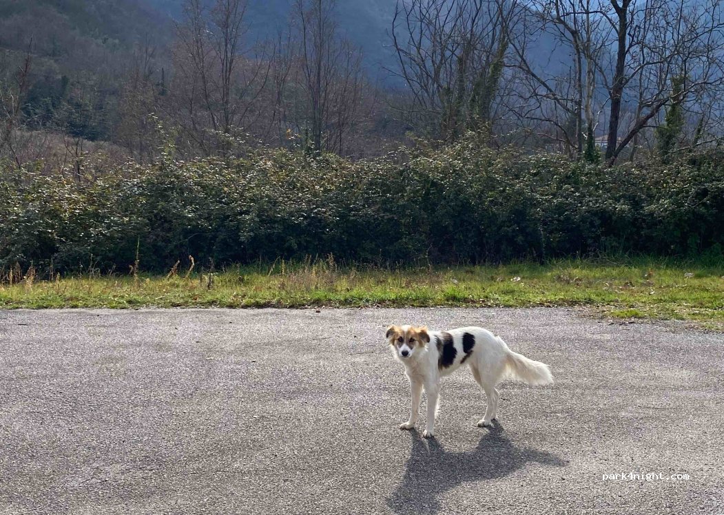 (80065) Colli di Fontanelle - 46 Via Belvedere — foto 4