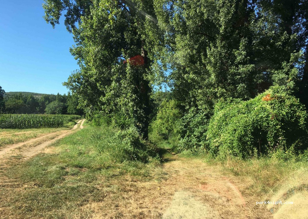 (46160) Calvignac - 87 La Bruyère — foto