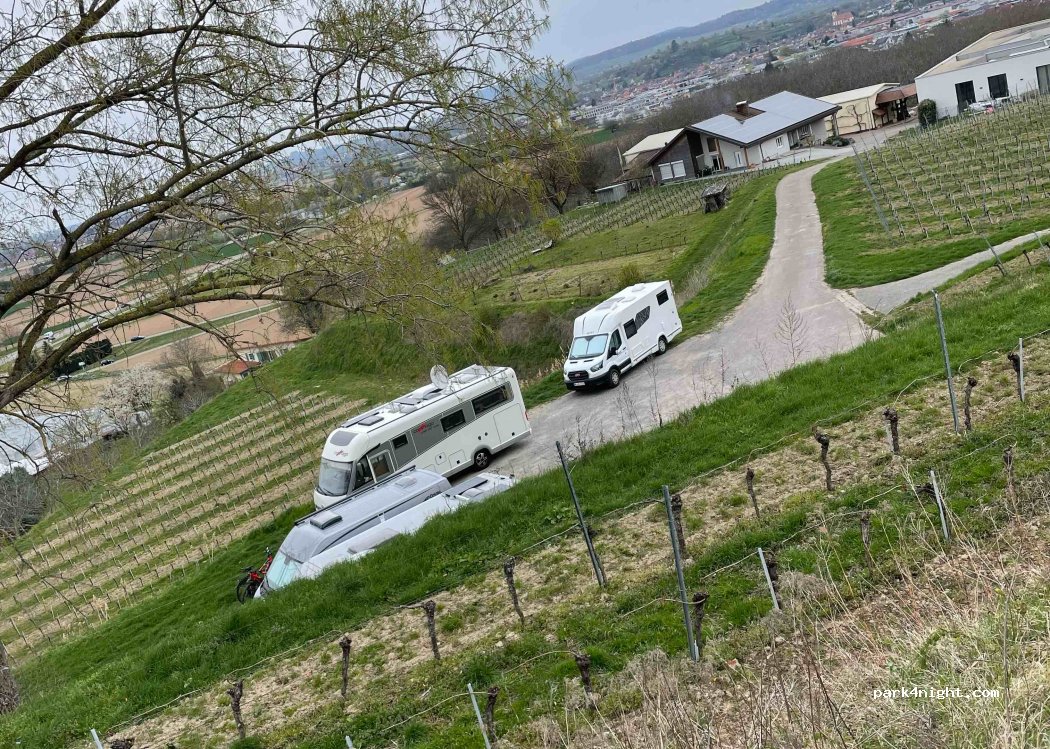 Weingut Weber – Restaurant — foto 3