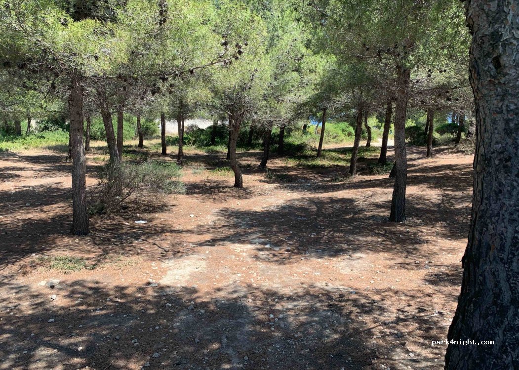 (13960) Sausset-les-Pins - 1 Avenue des Peupliers — foto