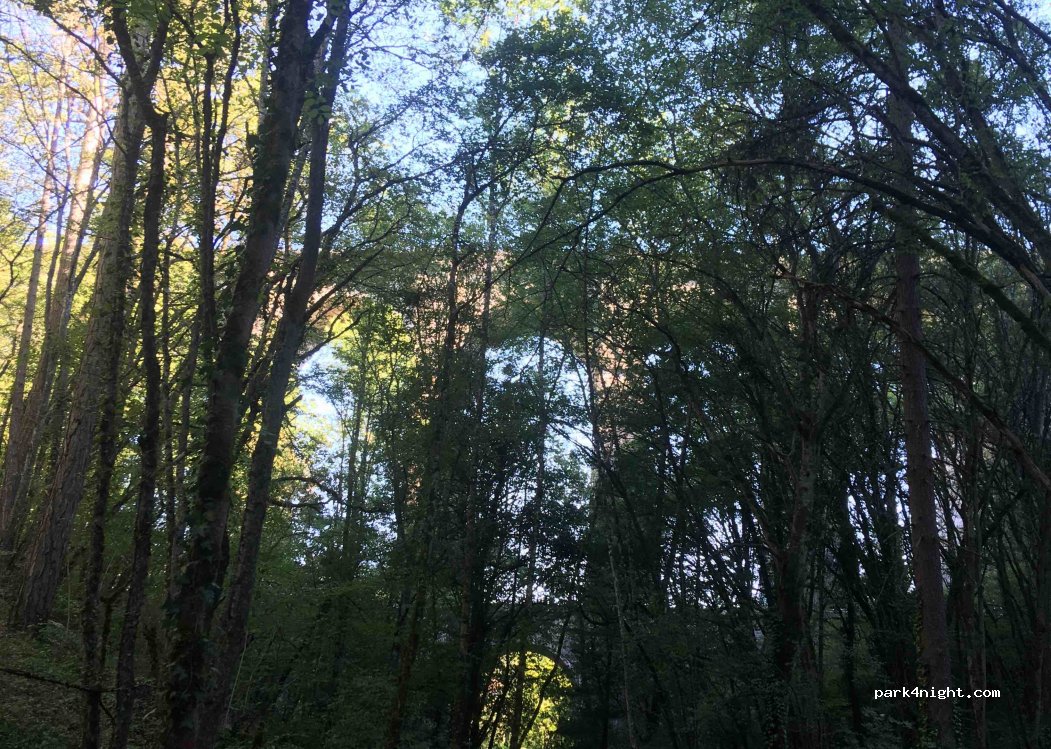 (21370) Velars-sur-Ouche - 10 Route de la Verrerie — foto